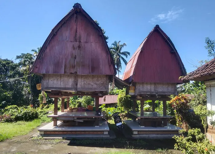 Trinadhi *